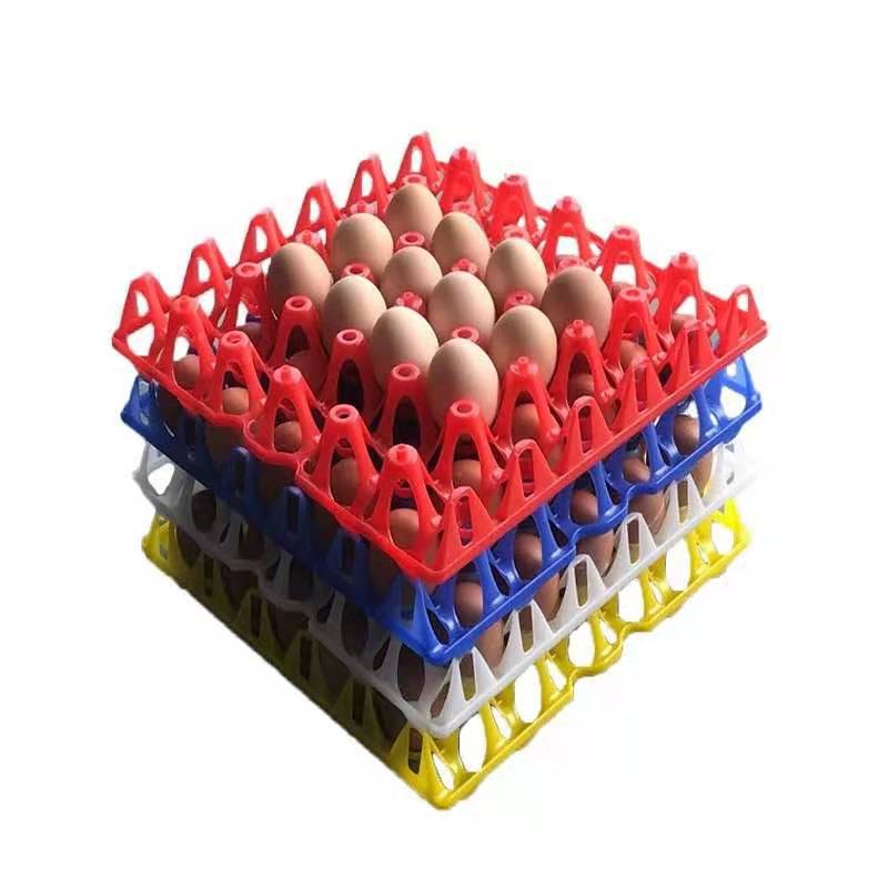 EGG Trays 30*30*5cm Plastic (30 egg Tray)