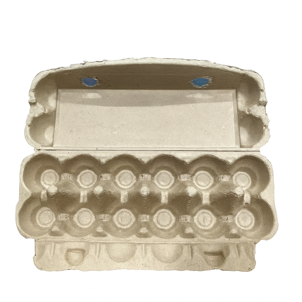 12 Egg Carton Paper- 10pcs