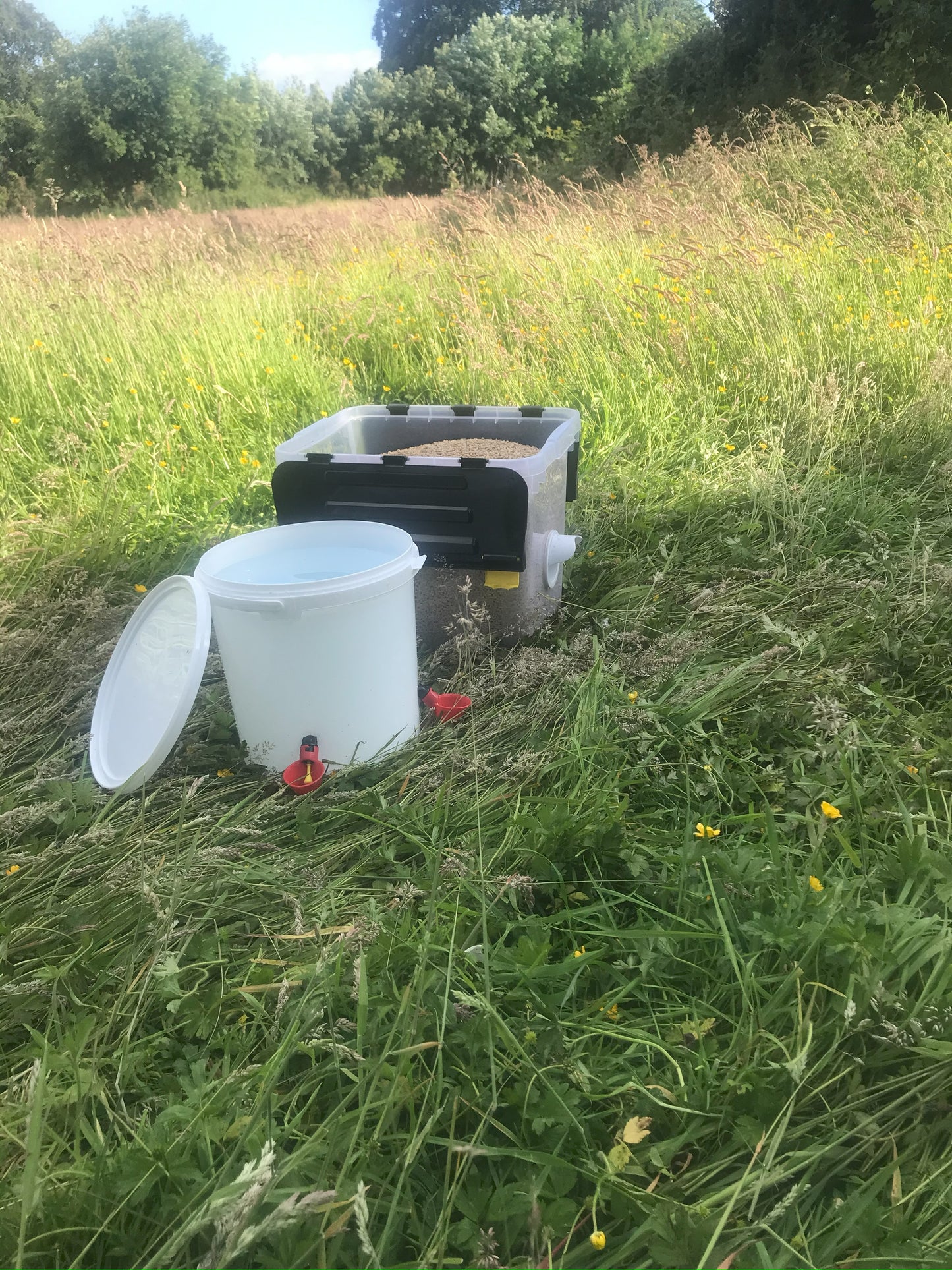 Williams Farm 15kg Feeder & 10L Drinker Small Combo