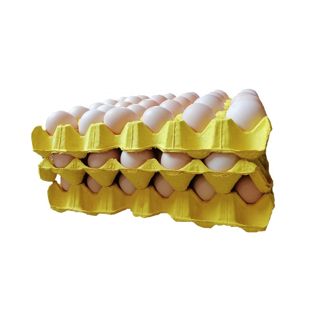 EGG Trays 29.5*29.5*5cm Paper (30 Egg Tray)