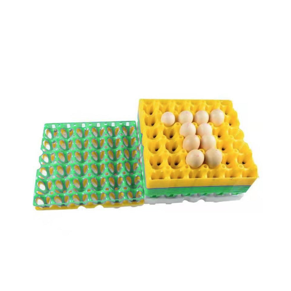 EGG Trays 30*30*5cm Plastic (30 egg Tray)