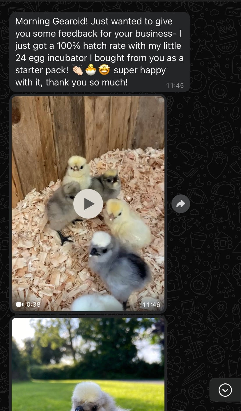 Incubator Starter Pack with 24 Egg Incubator- To Rent