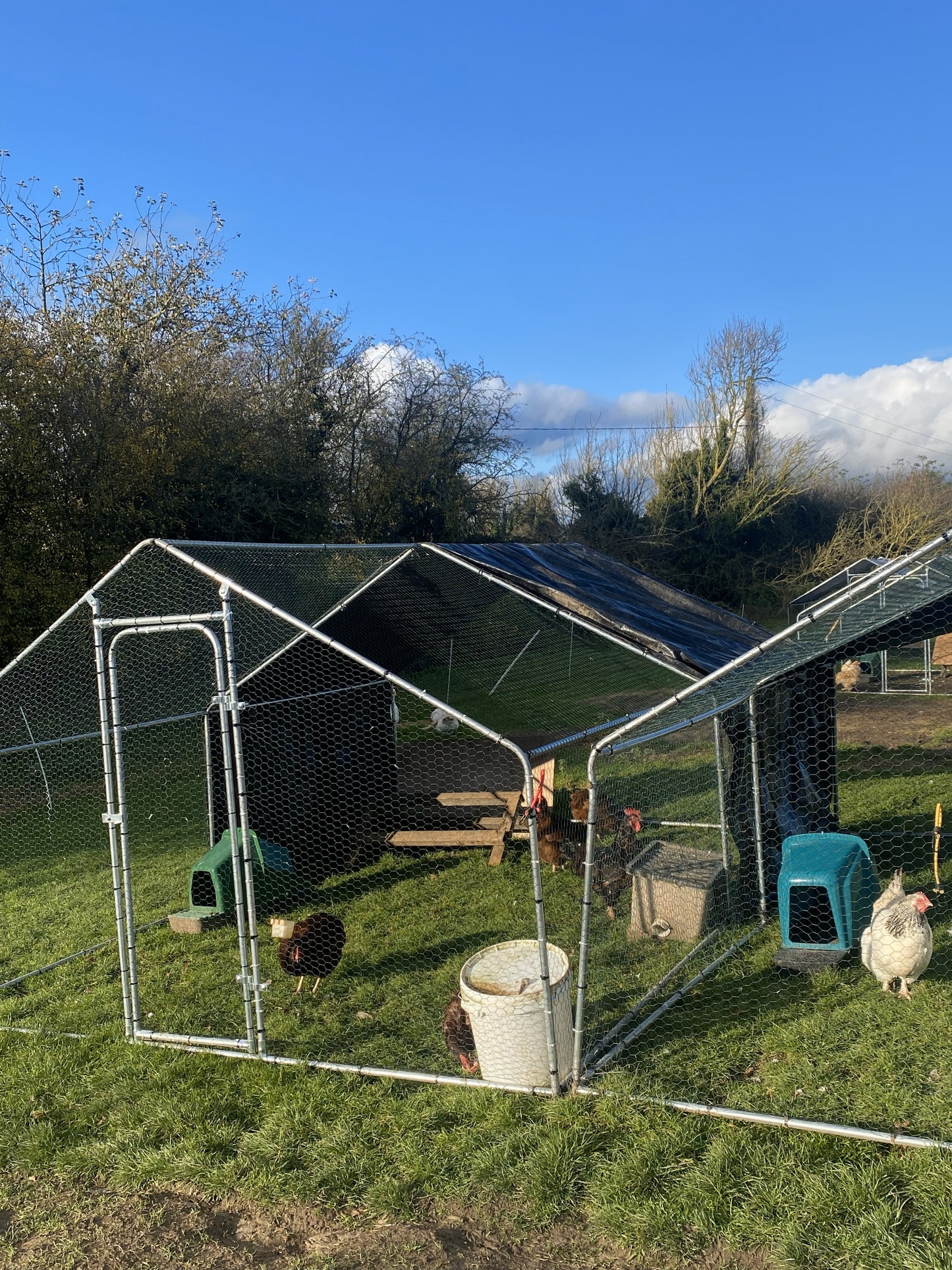 8*3*2m Metal Poultry Run