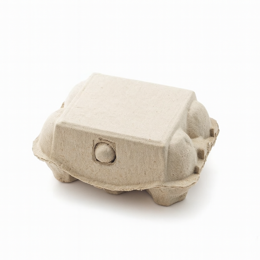 6 Egg Carton Paper