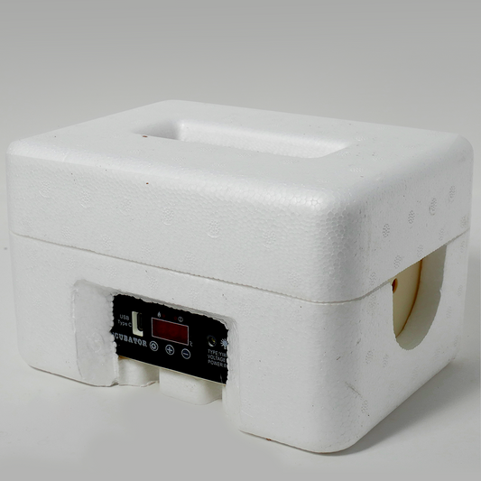 6 Egg Automatic Incubator