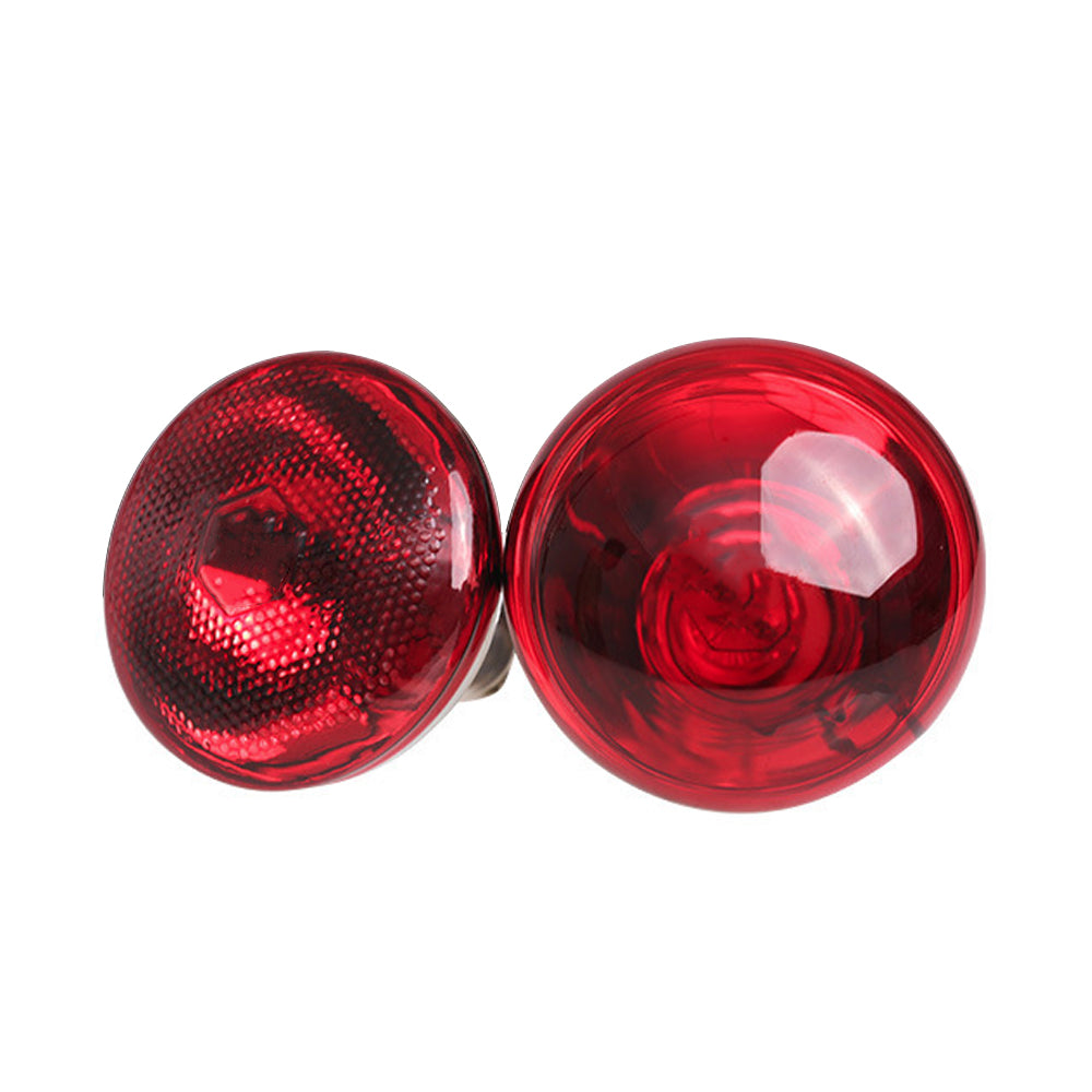 Heat Lamp (Full Kit with Light Blub)