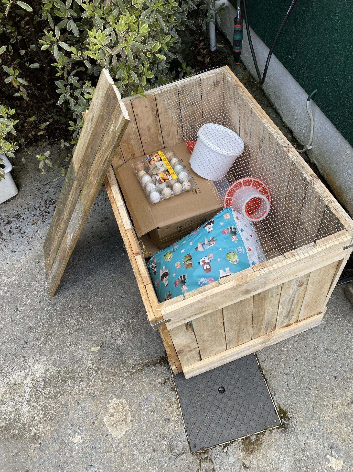 Incubator Starter Pack with 24 Egg Incubator- To Rent